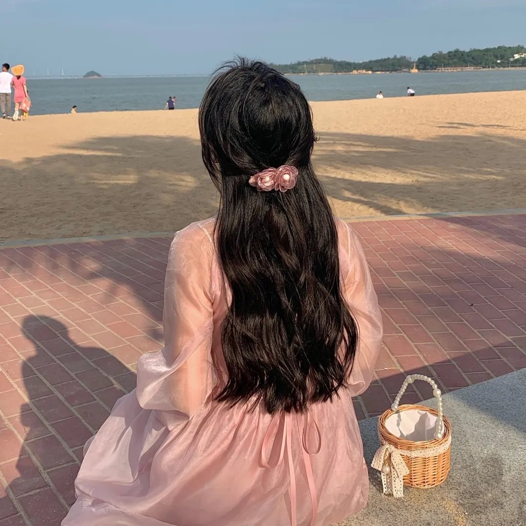 机智的公主殿下