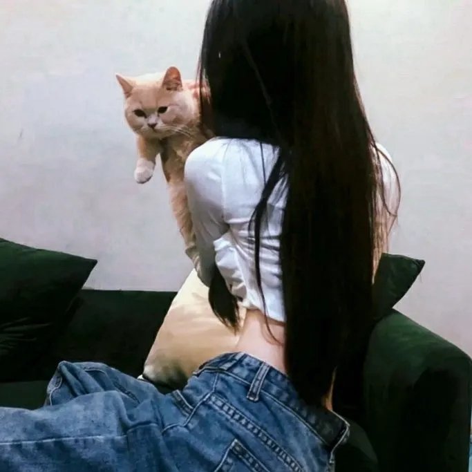 家有虎妻