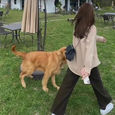 公仔头杀人王
